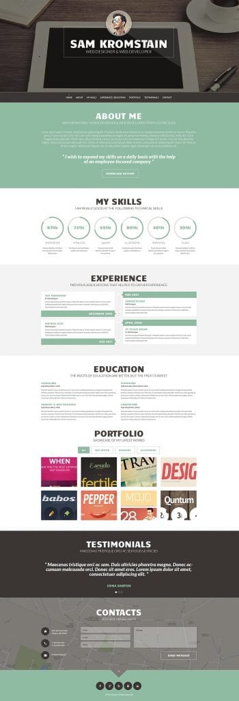 WordPress CV Themes